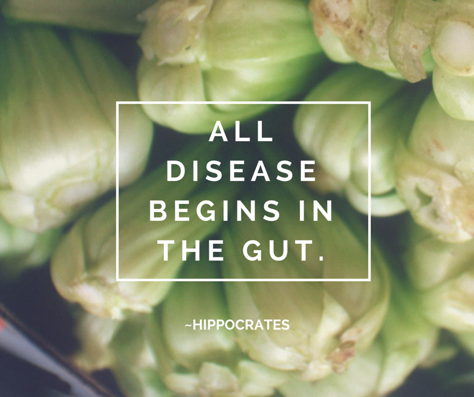 why is gut health important