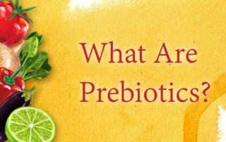 what are prebiotics