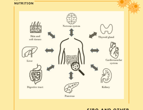 New Study Examines SIBO’s Effects on On Systems of the Body