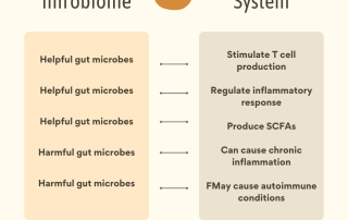 immune system and gut health