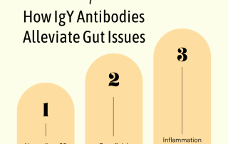 IgY antibodies for gut health