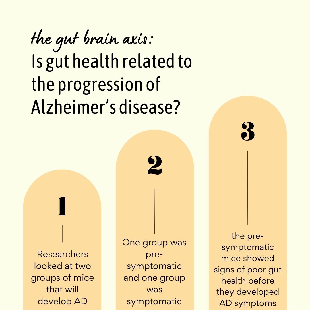 alzheimers and gut health