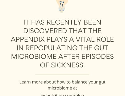 Appendectomies May Lead to Gut Microbiome Disruption