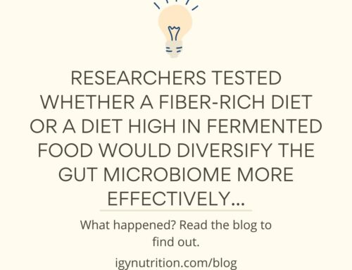 Fermented Food and the Gut Microbiome